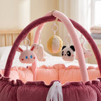 Baby Play Gym with Cushioned Nest & Toys – Kidoriko